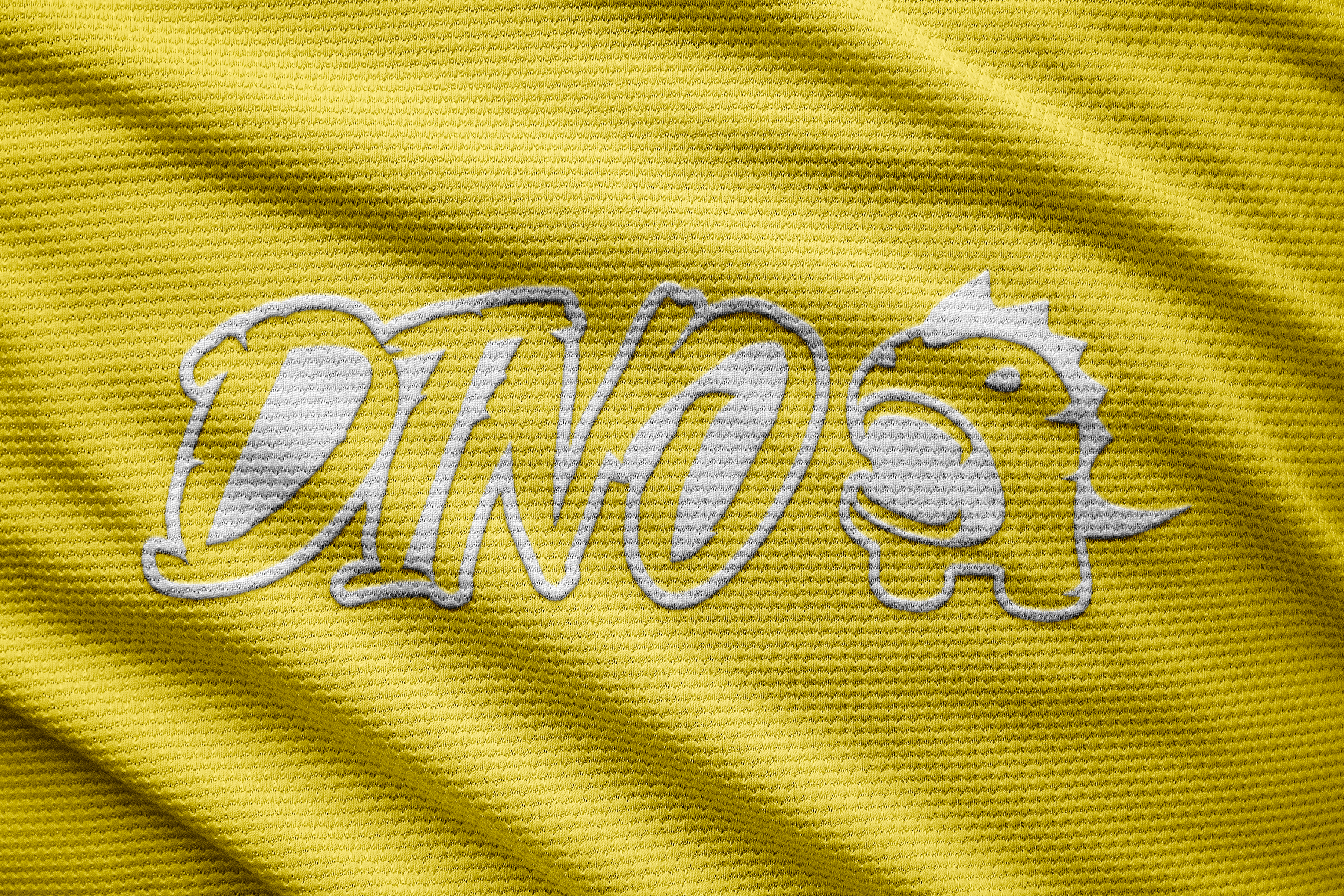 Dino Lifestyle — jersey logo